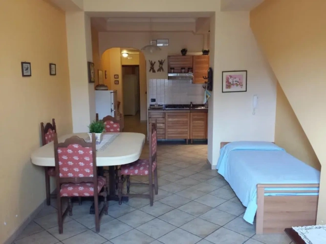 1 Bedroom Basement Apartment