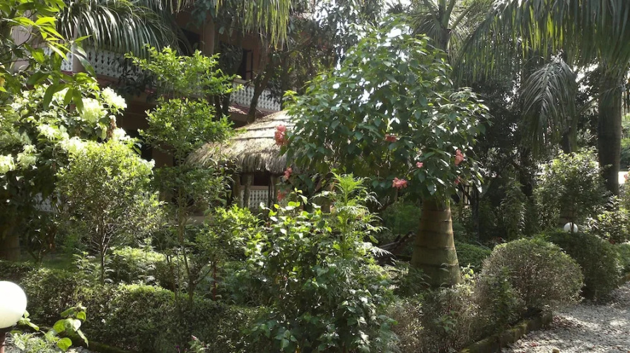 The 90's Sauraha