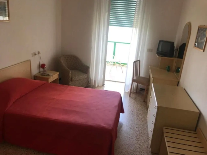 Standard Double room with balcony and with view