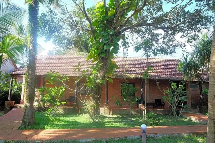 Bungalow