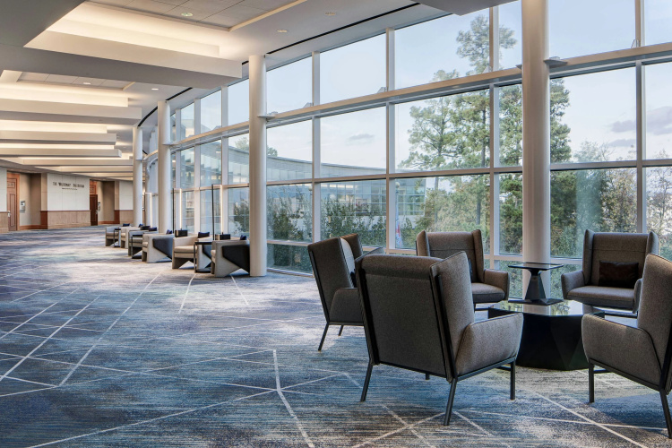 The Woodlands Waterway Marriott Hotel & Convention photo 16