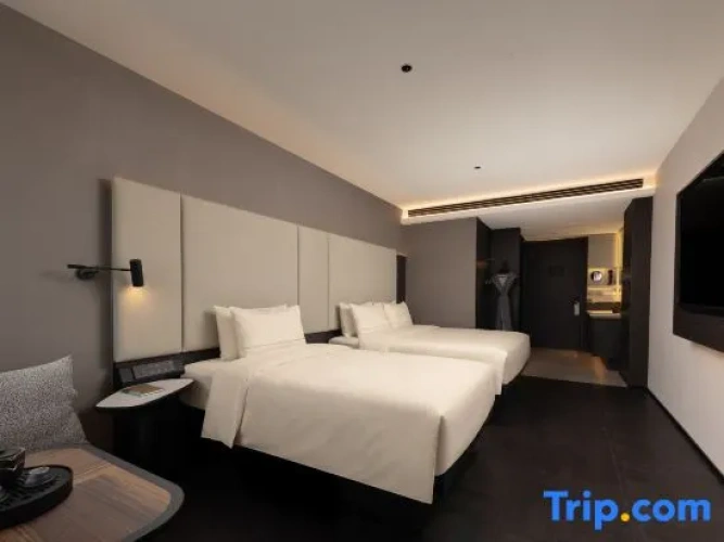 Deluxe Twin Family room