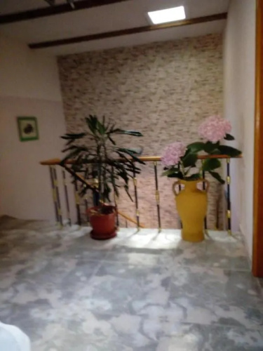 Casa, apartment dúplex independiente