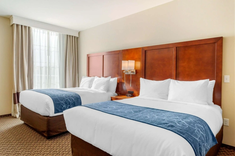 Quadruple Suite