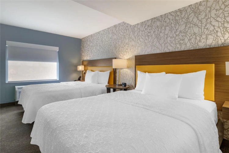 1 Bedroom Quadruple Suite