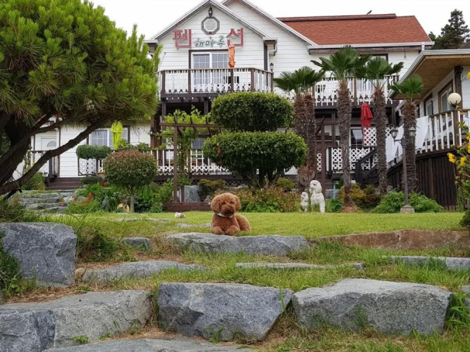 Haemaru pension