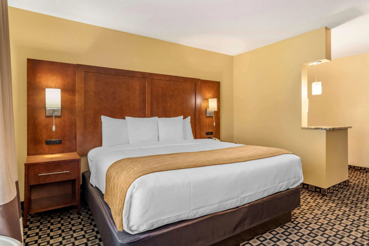 Comfort Inn & Suites Athens North