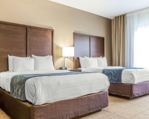 Quadruple Suite
