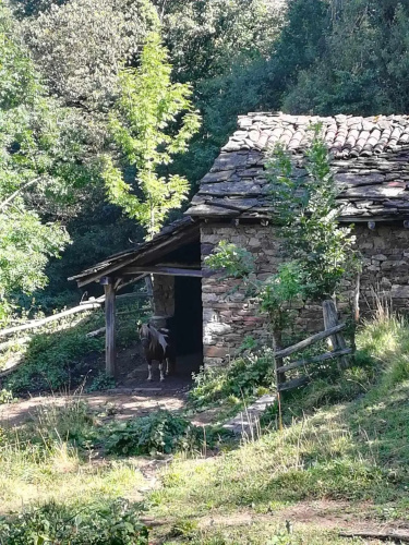 Asturias Boho Chic