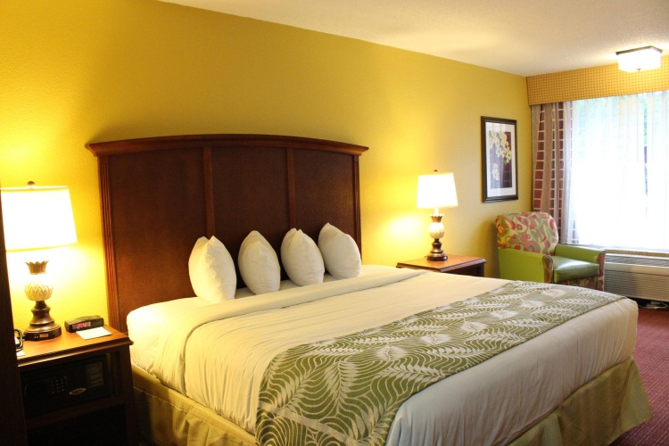 Rosen Inn International photo 8