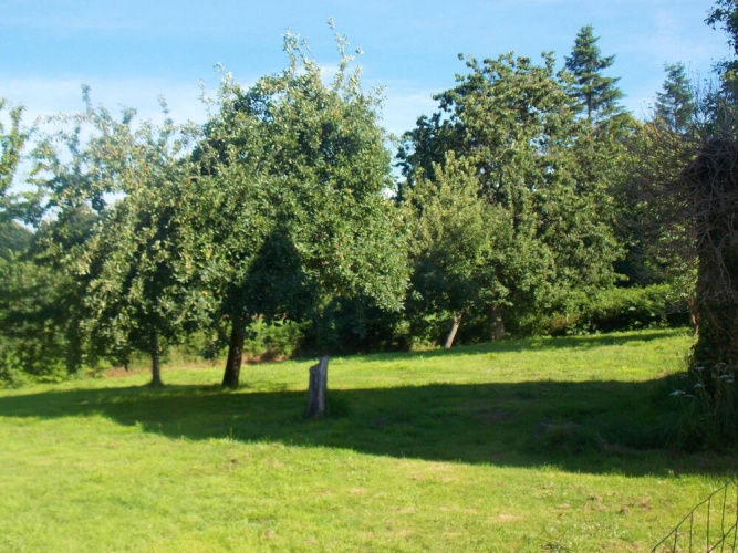 Holiday home Lieu dit les Bas Brulays