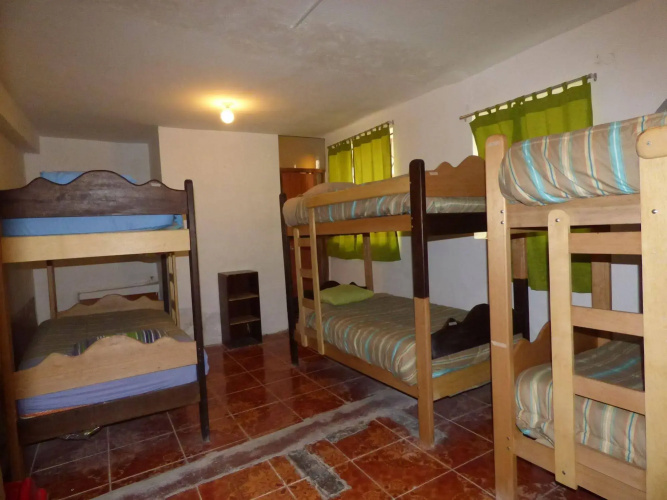The Grasshopper Hostel
