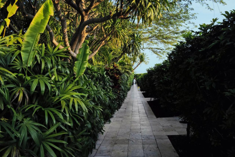 The Standard Spa Miami Beach - Adults Only photo 30