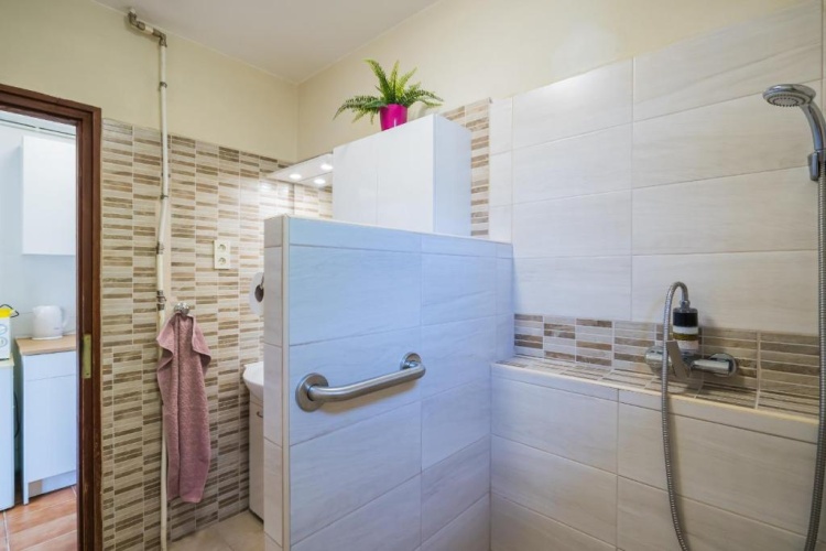 Basement Apartment