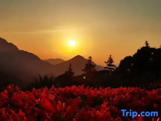 Guangzhou Shimen Valley Secret B&B
