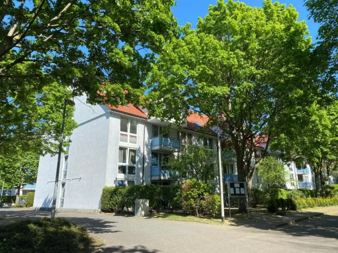 Deluxe Studio