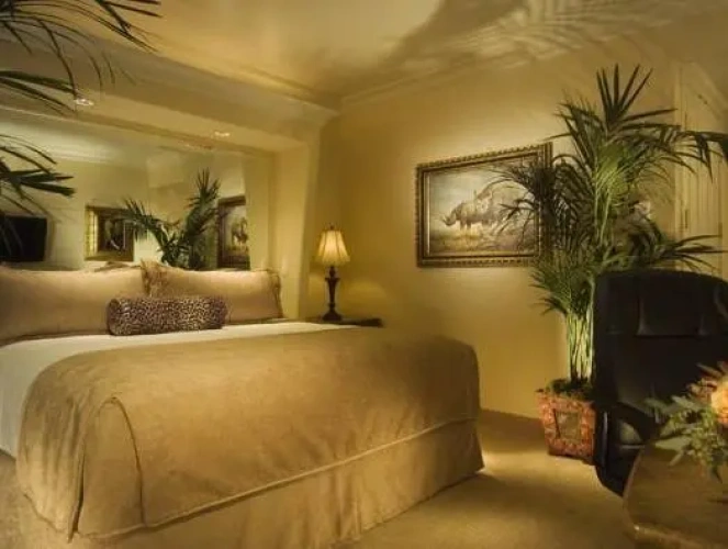 Deluxe Double room with view