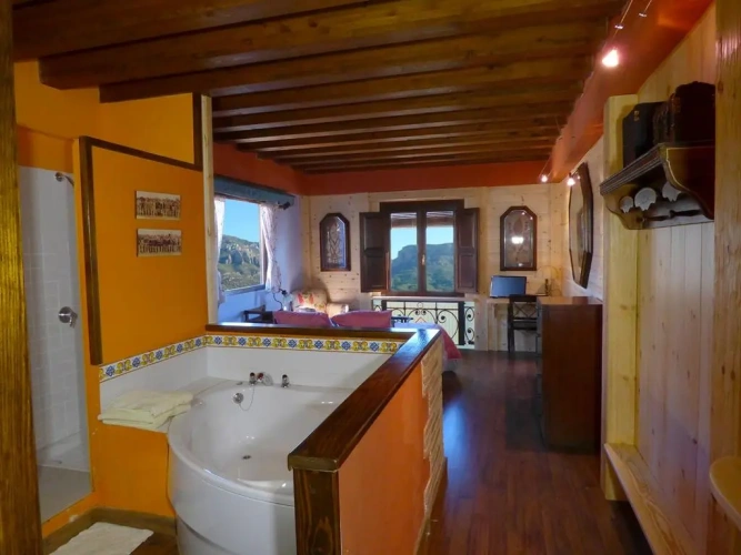 Penthouse Suite with view