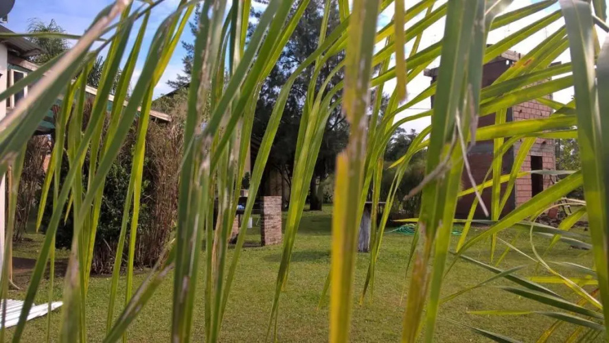 Las Casitas de Sigi