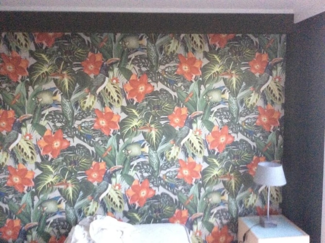 Comfort Single room with garden view