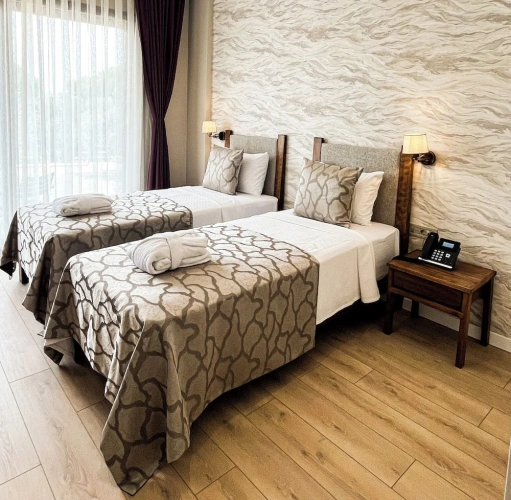 Superior Twin room with balcony and with mountain view