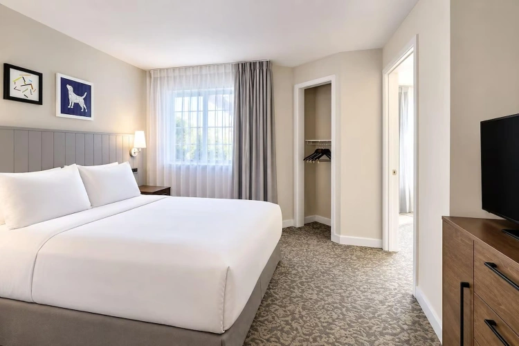 2 Bedrooms Quadruple Suite