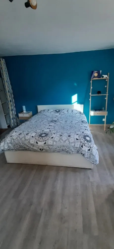 Le Pompon'ing, appartement coeur de ville