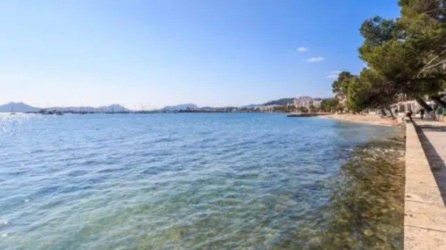 Modern marina seafront apartment