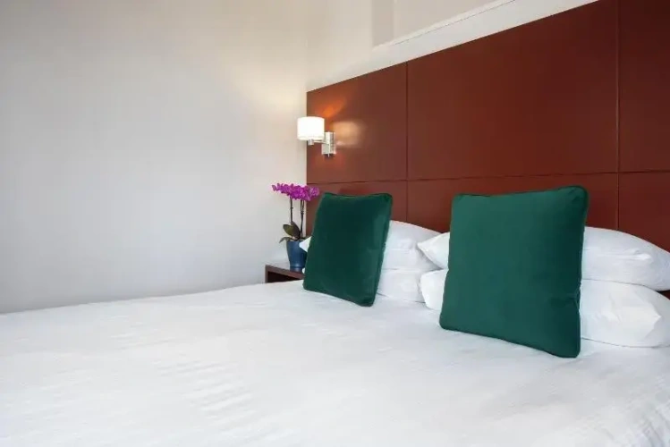 Double Studio Suite