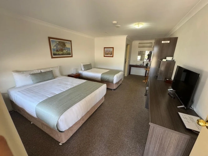 Deluxe Double room with garden view
