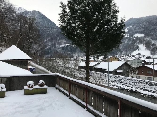 Standard Double room with balcony and with mountain view