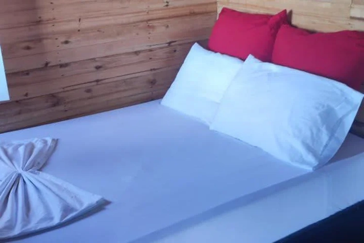 Standard Single room with ocean view