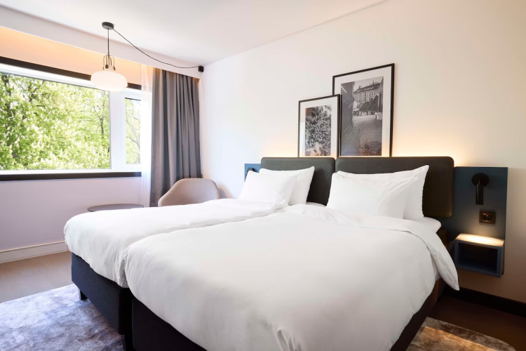 Premium room with park view