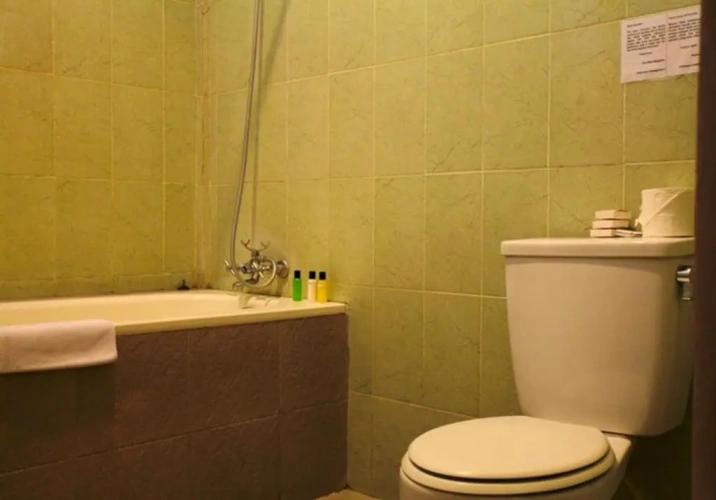 1 Bedroom Apartment with balcony and with view