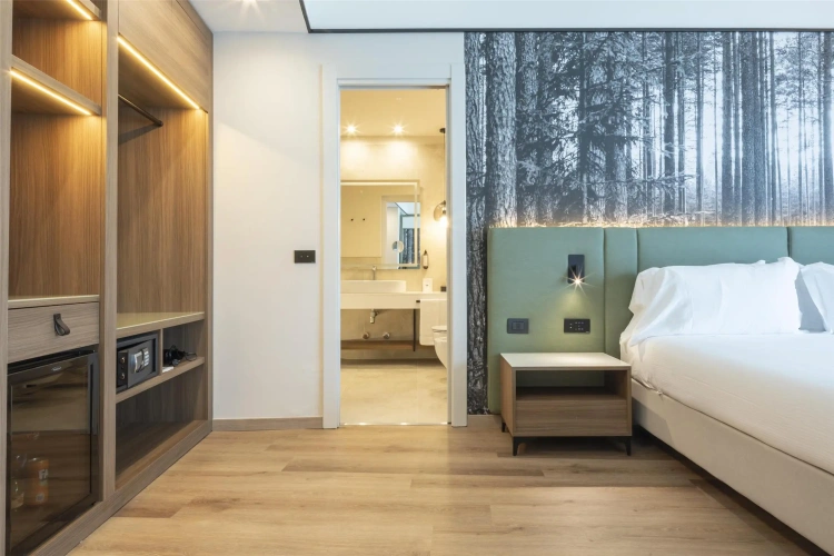 Superior Double room with balcony and with lake view