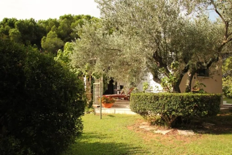 1 Bedroom Cottage