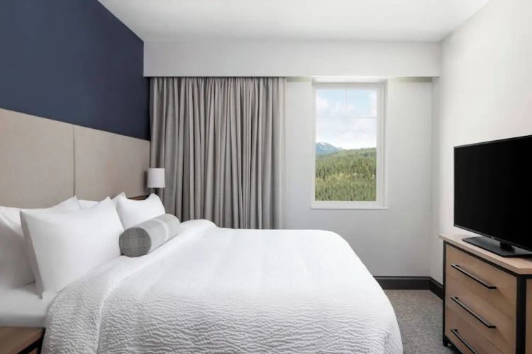 1 Bedroom Suite