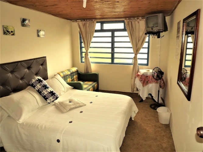 Standard Double room with garden view