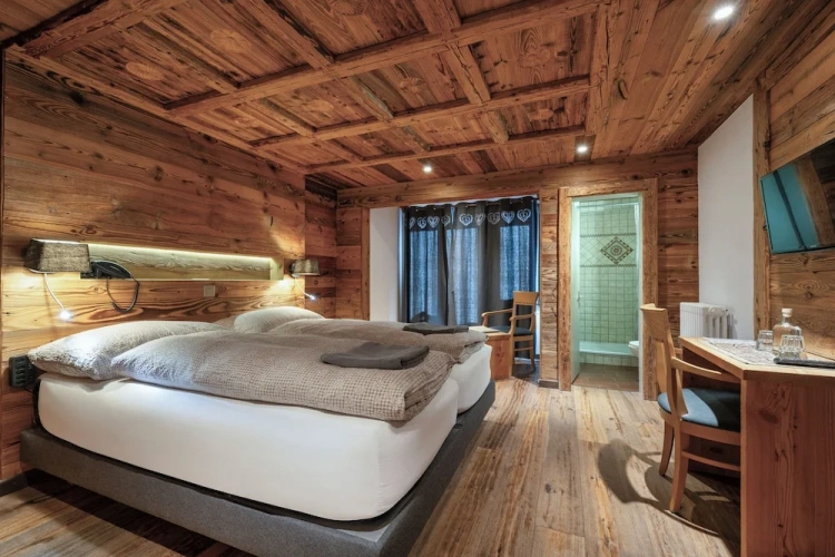 Standard Double room with balcony and with mountain view