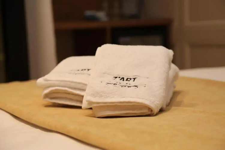 Z art Hotel