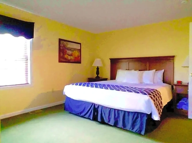 1 Bedroom Suite