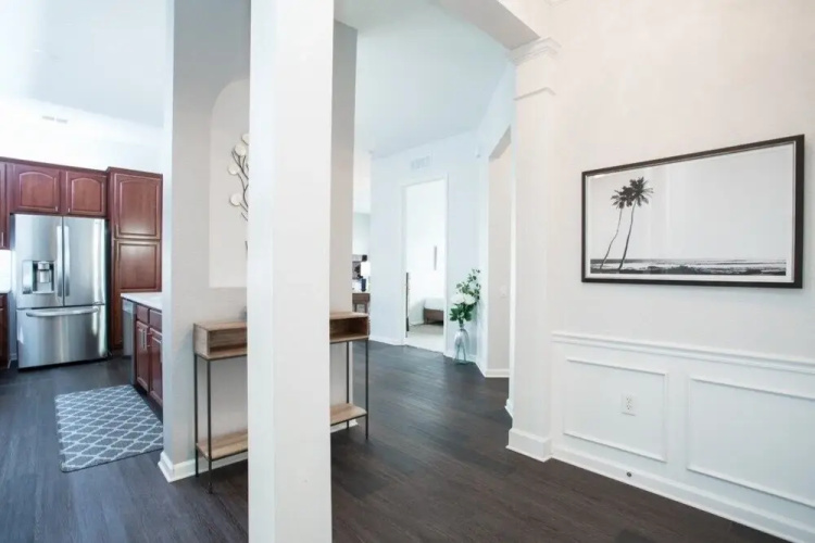 Penthouse Vision - All New!