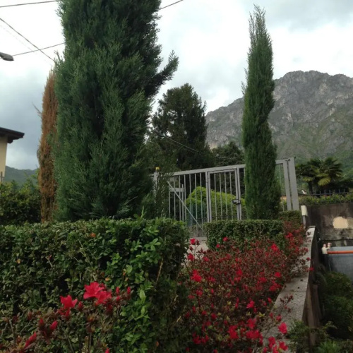 La casa degli ulivi