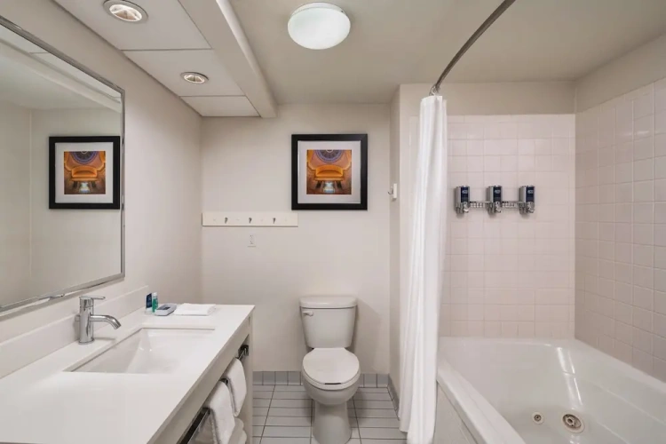 1 Bedroom Suite
