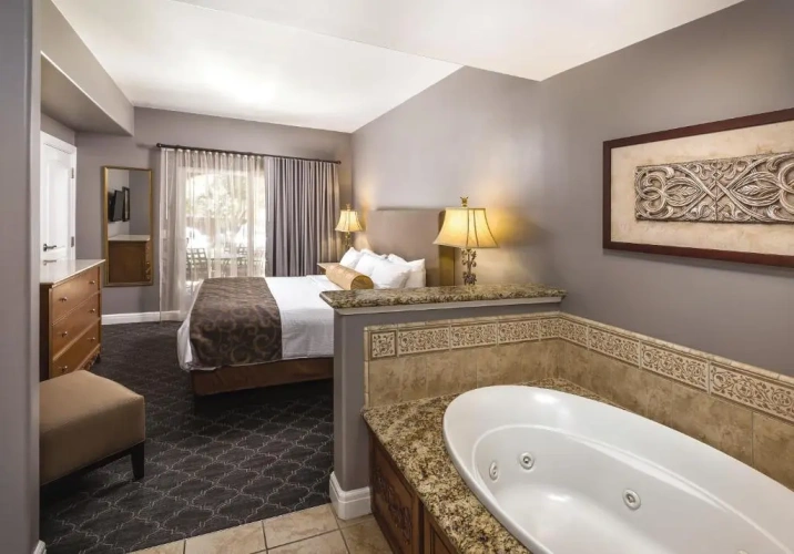 1 Bedroom Suite