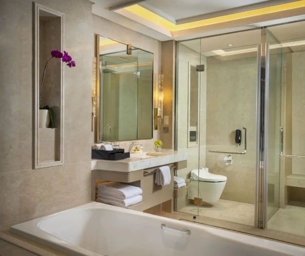 1 Bedroom Standard room with balcony and with city view