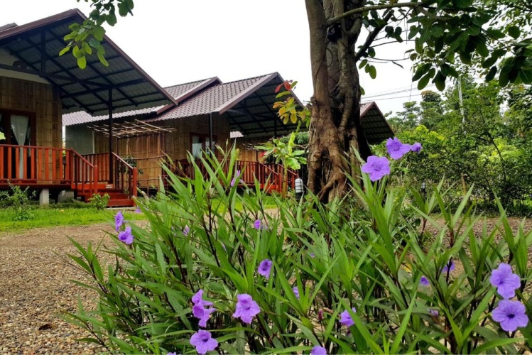 Standard Twin room with garden view