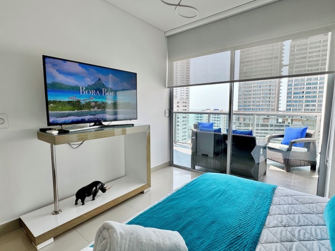 Deluxe Apartment with balcony