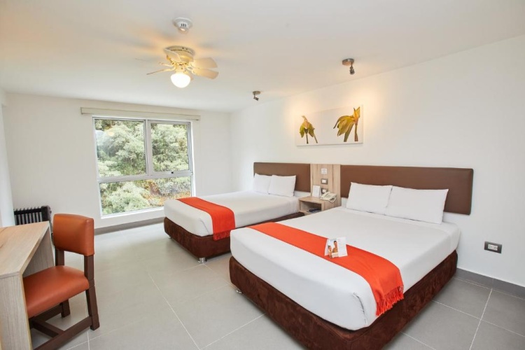 Superior Twin room with river view