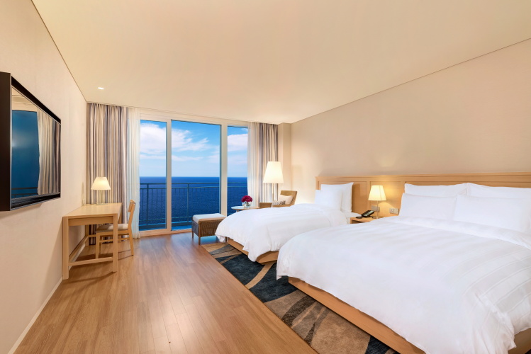 Deluxe Twin Family room